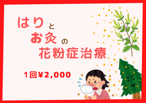 202103花粉症ブログ用